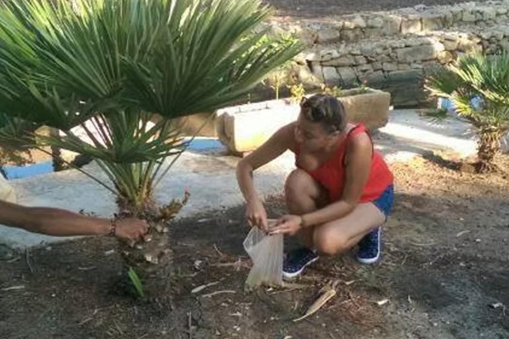 Genista Research Foundation GRF