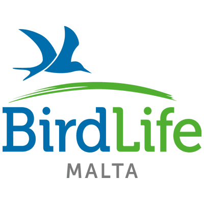 Bird Life Malta