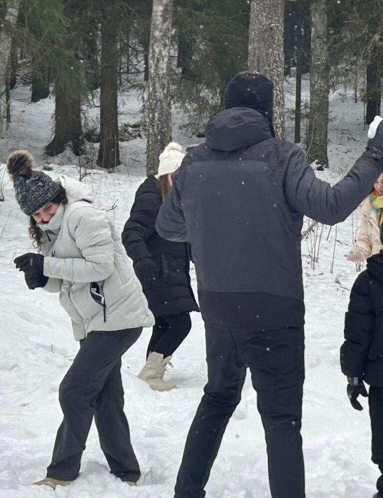 Be Brave Sweden Snow