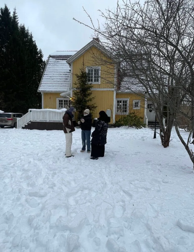 Be Brave Sweden Snow 3