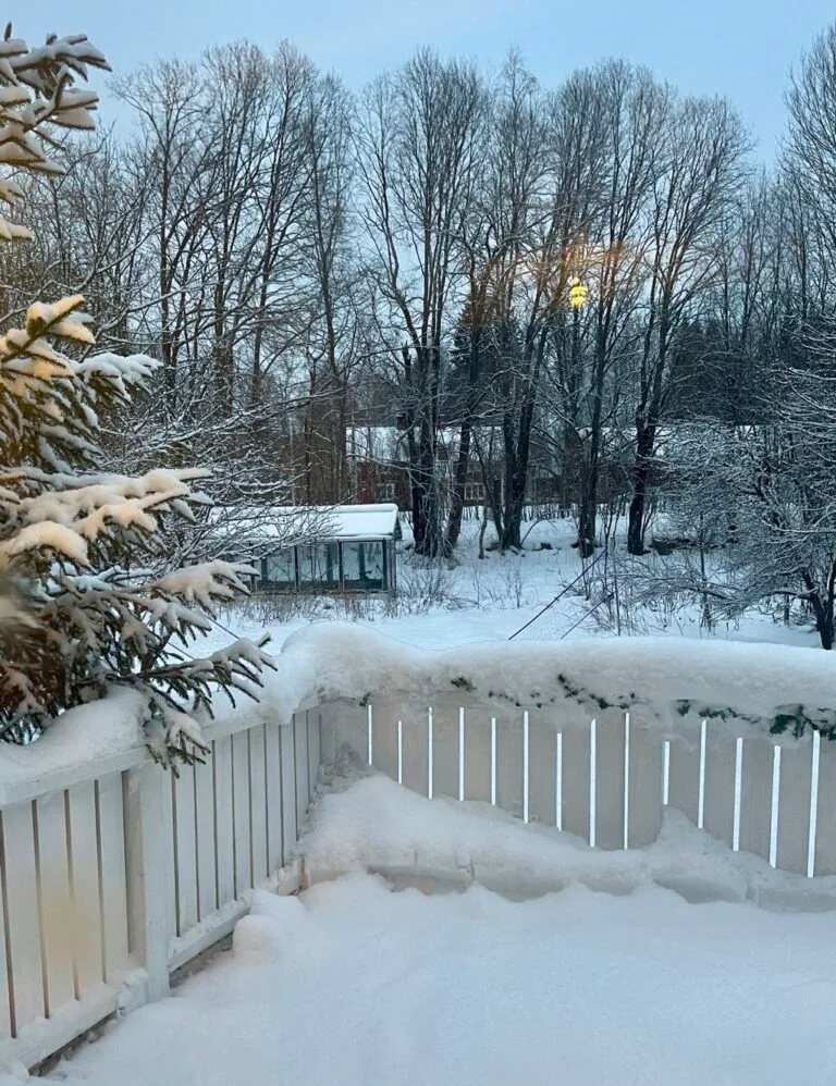 Be Brave Sweden Snow