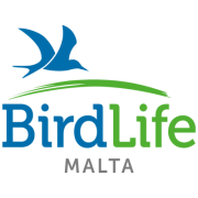 Bird Life Malta